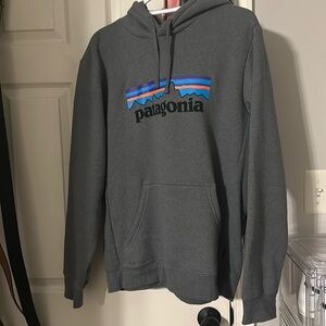 Mens Patagonia hoodie